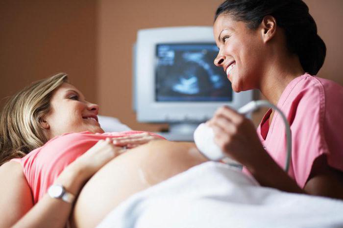 raskaus 7 viikkoa ultraääni sydämenlyöntiä