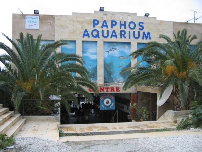 Economy-luokan Pinelopi Beach Hotel Apts, Kypros, Paphos